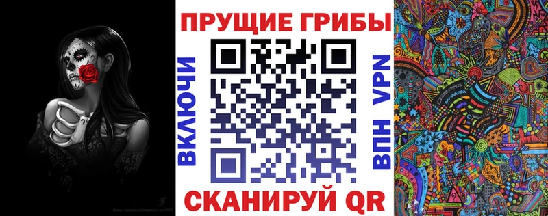 Купить закладки  Дубовка  Галлюциногенные грибы GOLDEN TEACHER 
